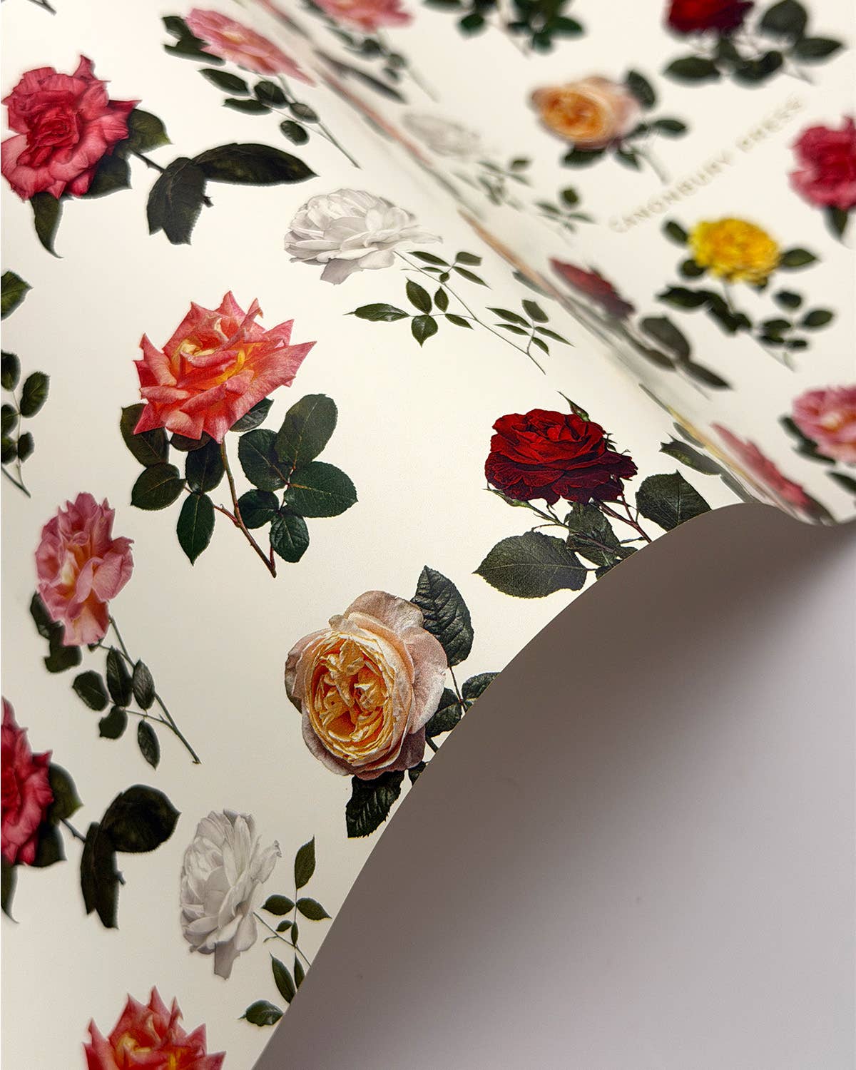 English Garden Roses Wrapping Paper | Luxury Gift Wrap Sheet
