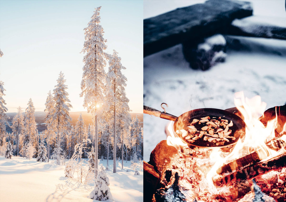 Food in the Wild – Foraging & Outdoor Cooking Cookbook