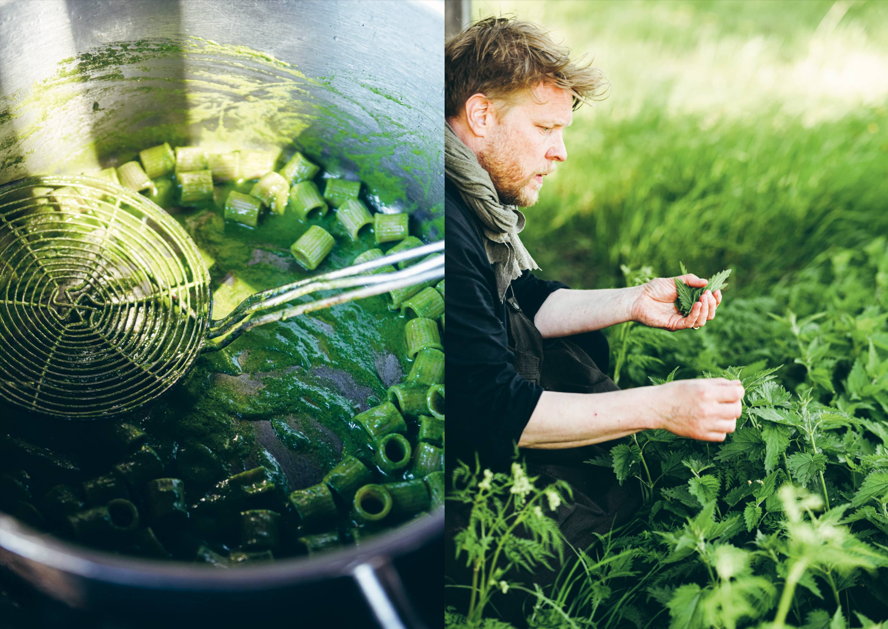 Cookbook: Chef’s Wild Nordic – Recipes for 72 Micro-Seasons
