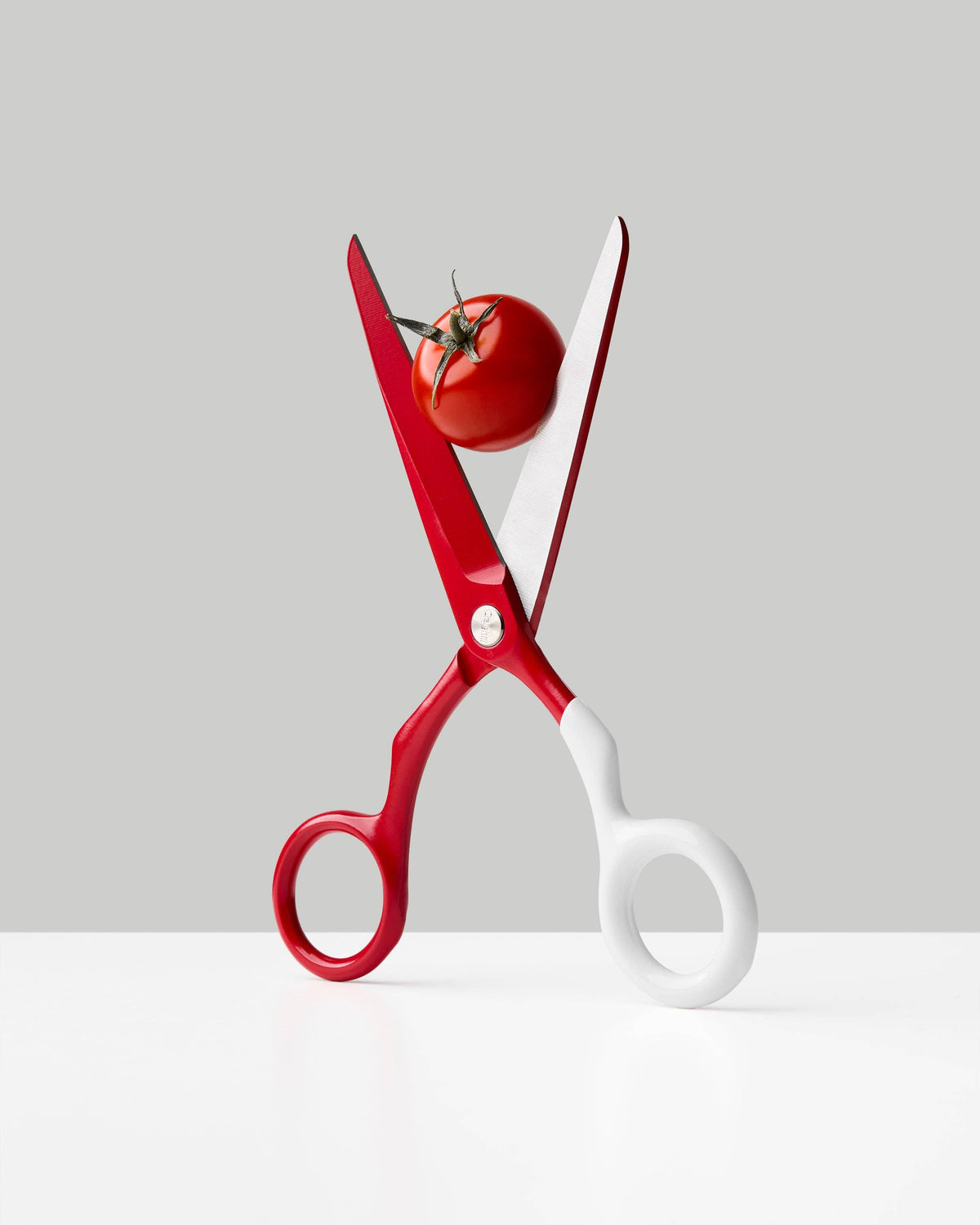 Spectra Scissors: Charcoal + Black