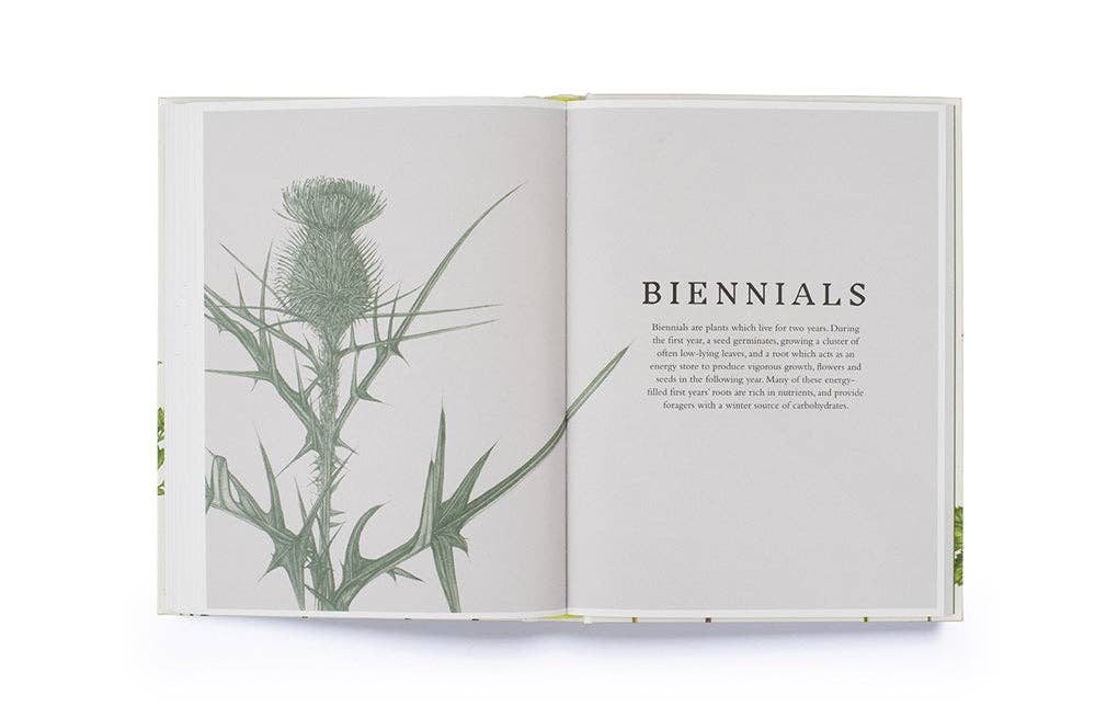 Forage by Liz Knight (Hardback): Hardback