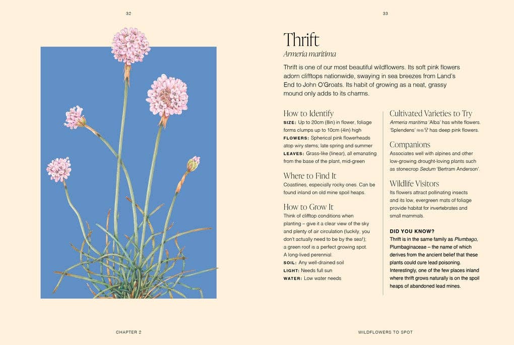 RHS Wildflowers by Gareth Richards (Hardback): Hardback