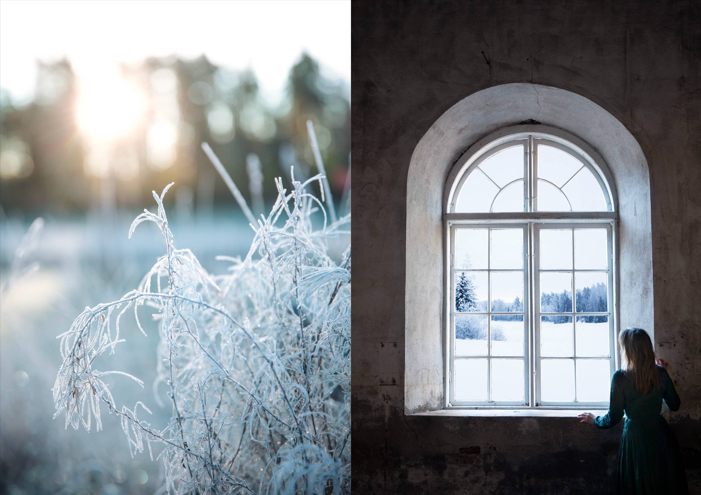 The Art of Fun Dining - Cookbook