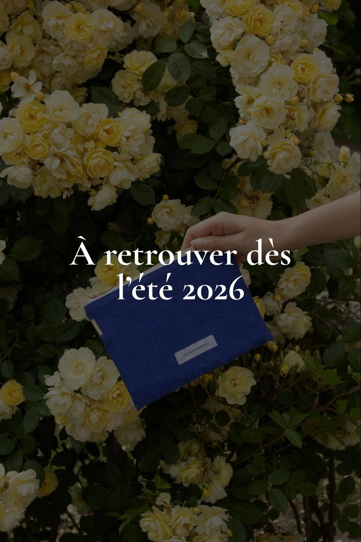 Les Pensionnaires Small Pouch in Ultramarine Blue