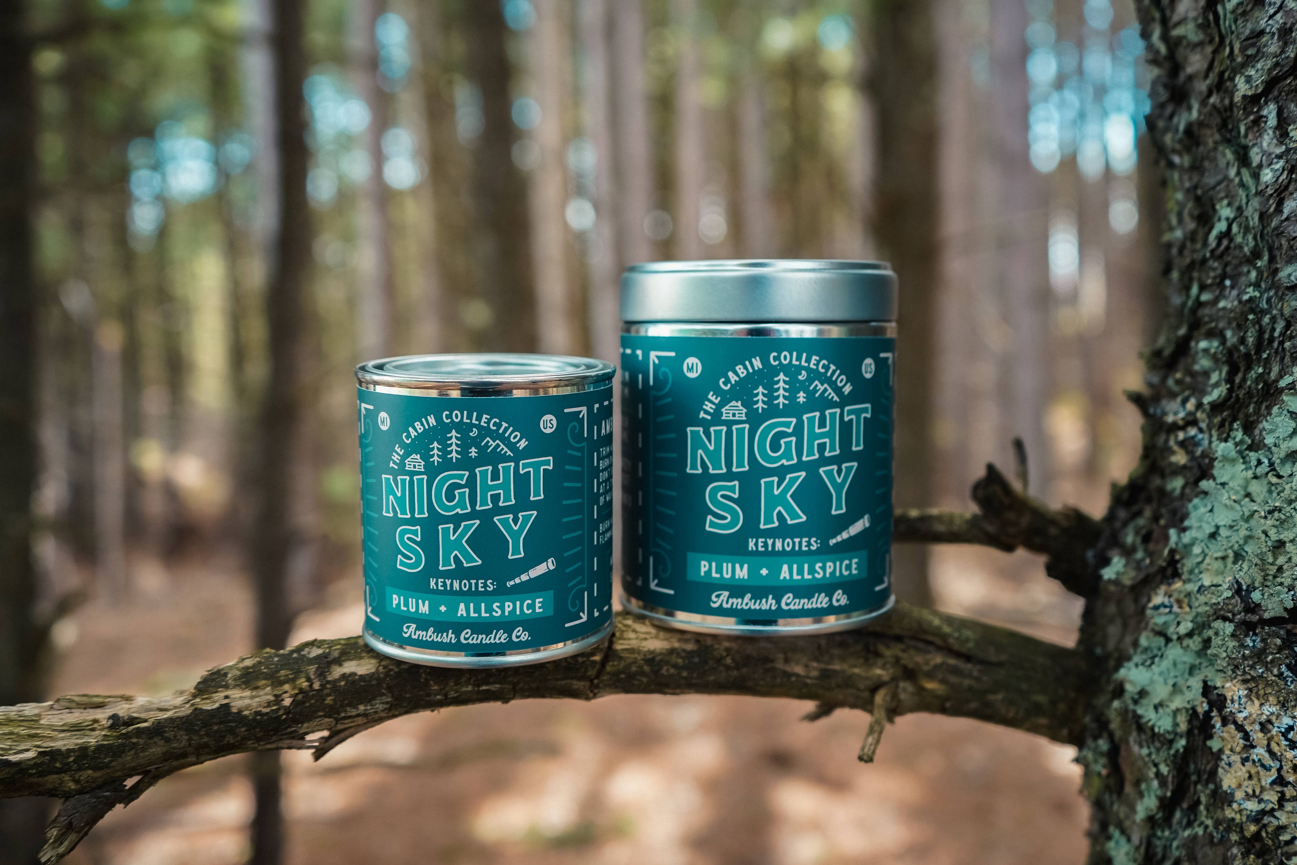Night Sky | Plum + Allspice 8oz Soy Candle