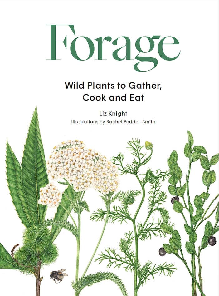 Forage by Liz Knight (Hardback): Hardback