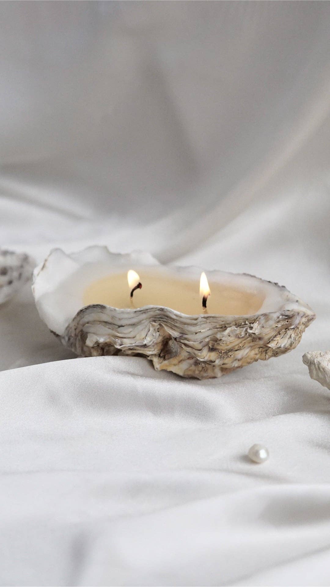 Oyster shell candle - 2 wicks: 1 Pc