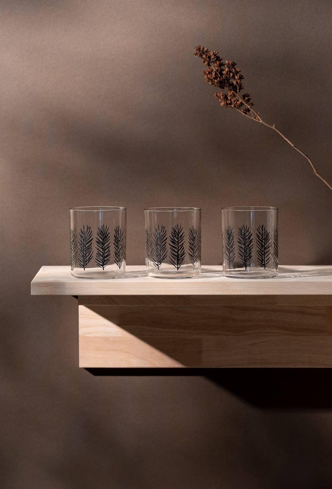 Fable glass tumblers set, clear glass with black fern design, on light wood shelf