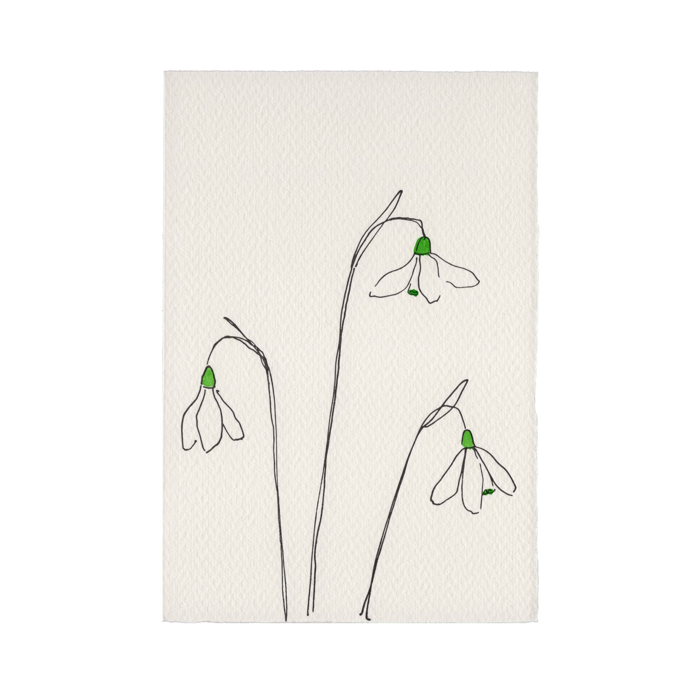 In The Meadow Card - Snowdrops