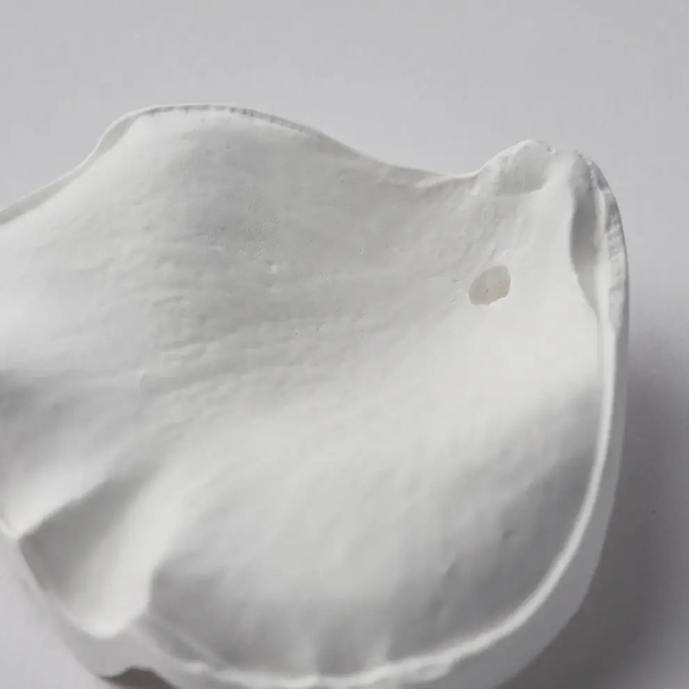 Plaster Incense Holder: Peony Petal — Ballon