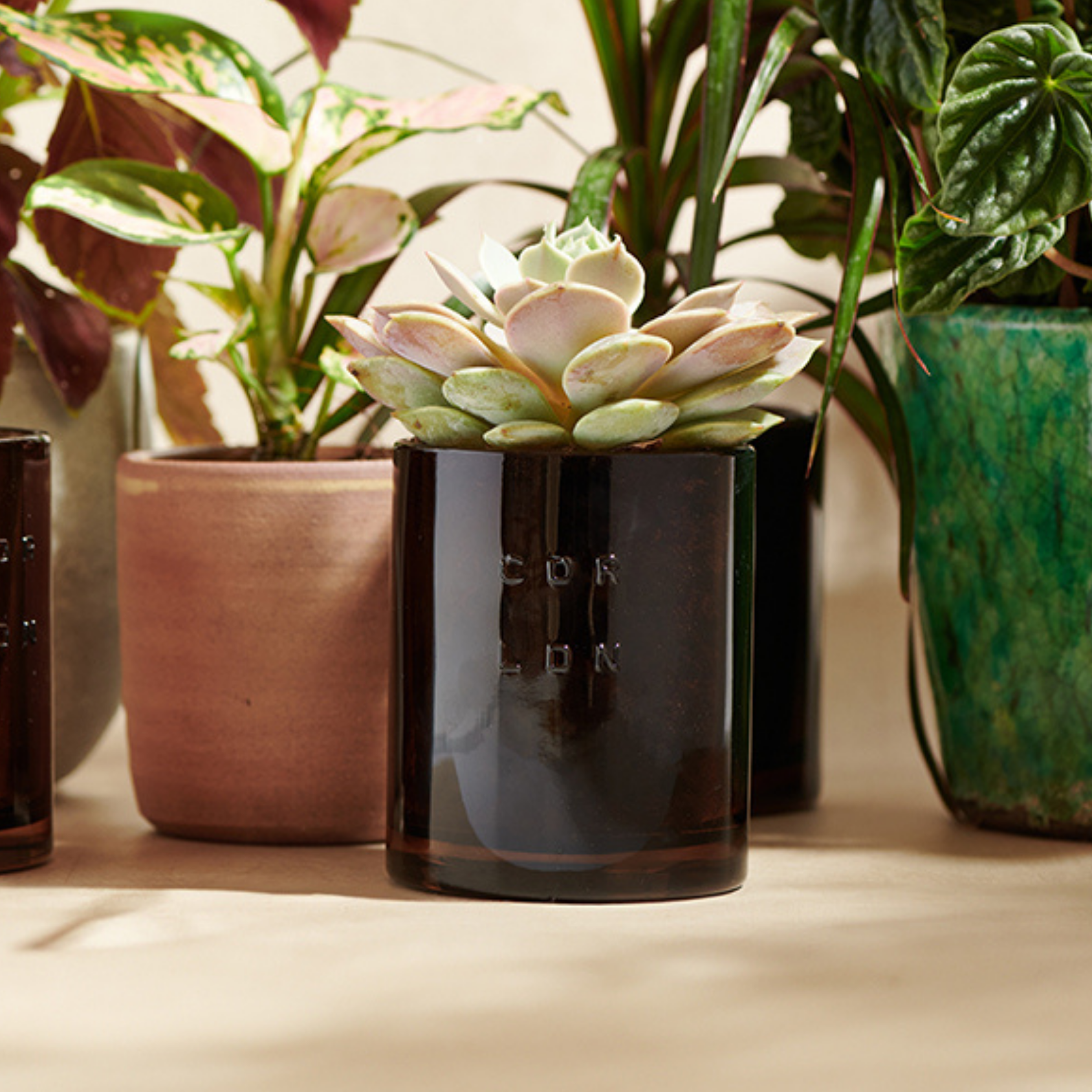 Alentejo Candle: Bergamot, Vetiver Scented Pure Soy Candle