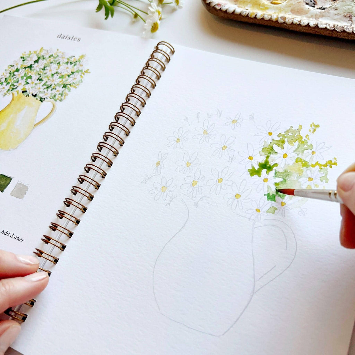Emily Lex Watercolour Workbook