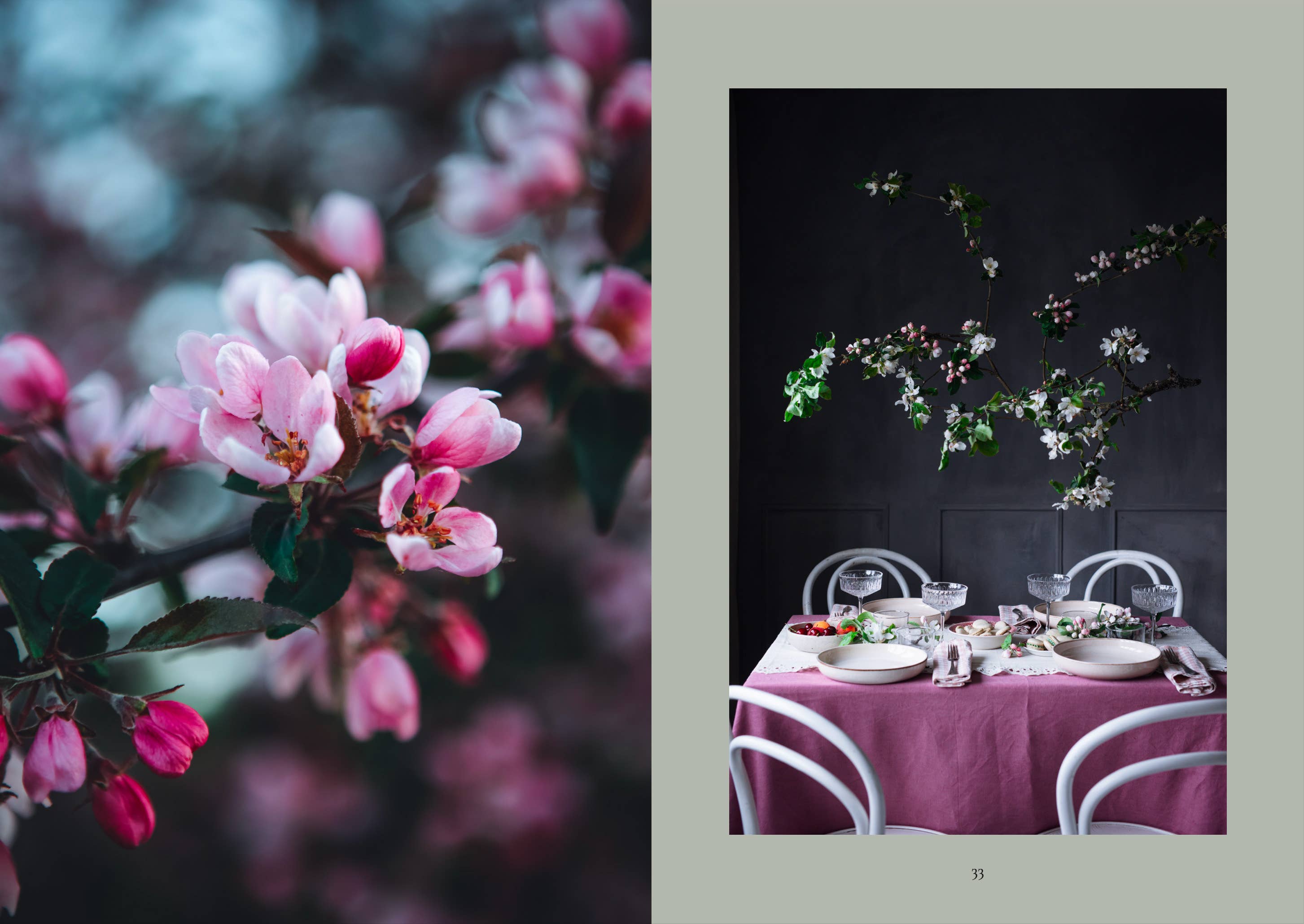 The Art of Fun Dining - Cookbook