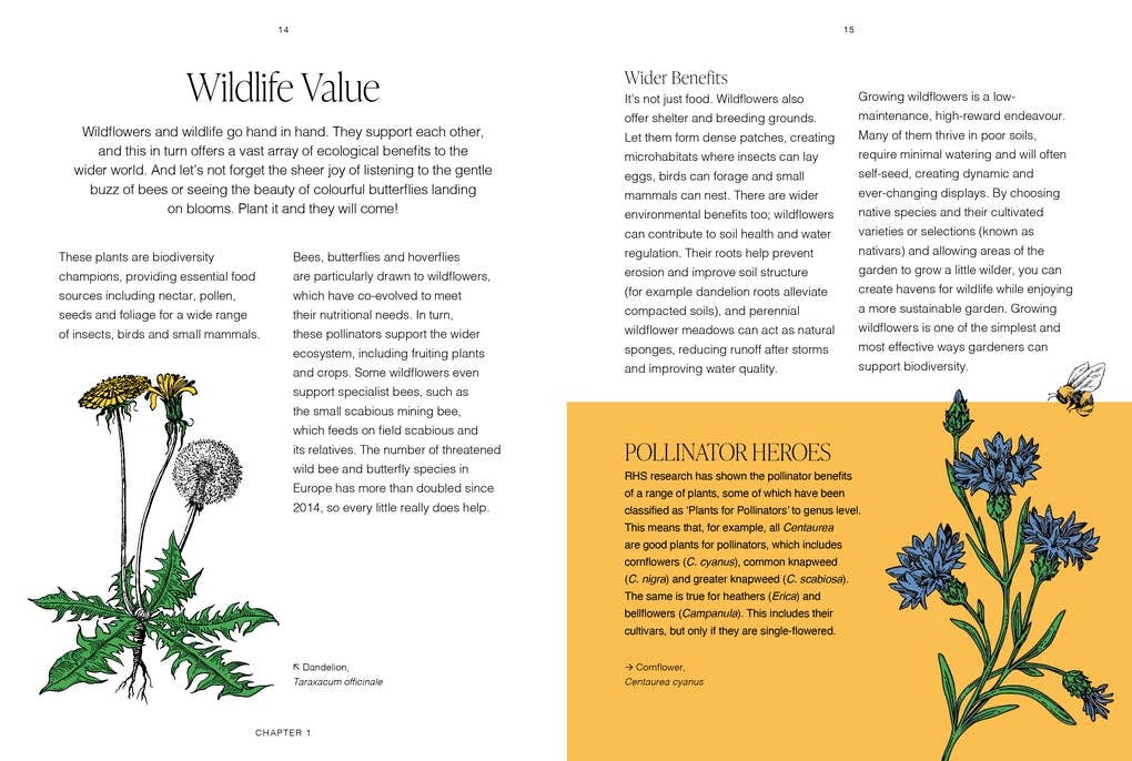 RHS Wildflowers by Gareth Richards (Hardback): Hardback