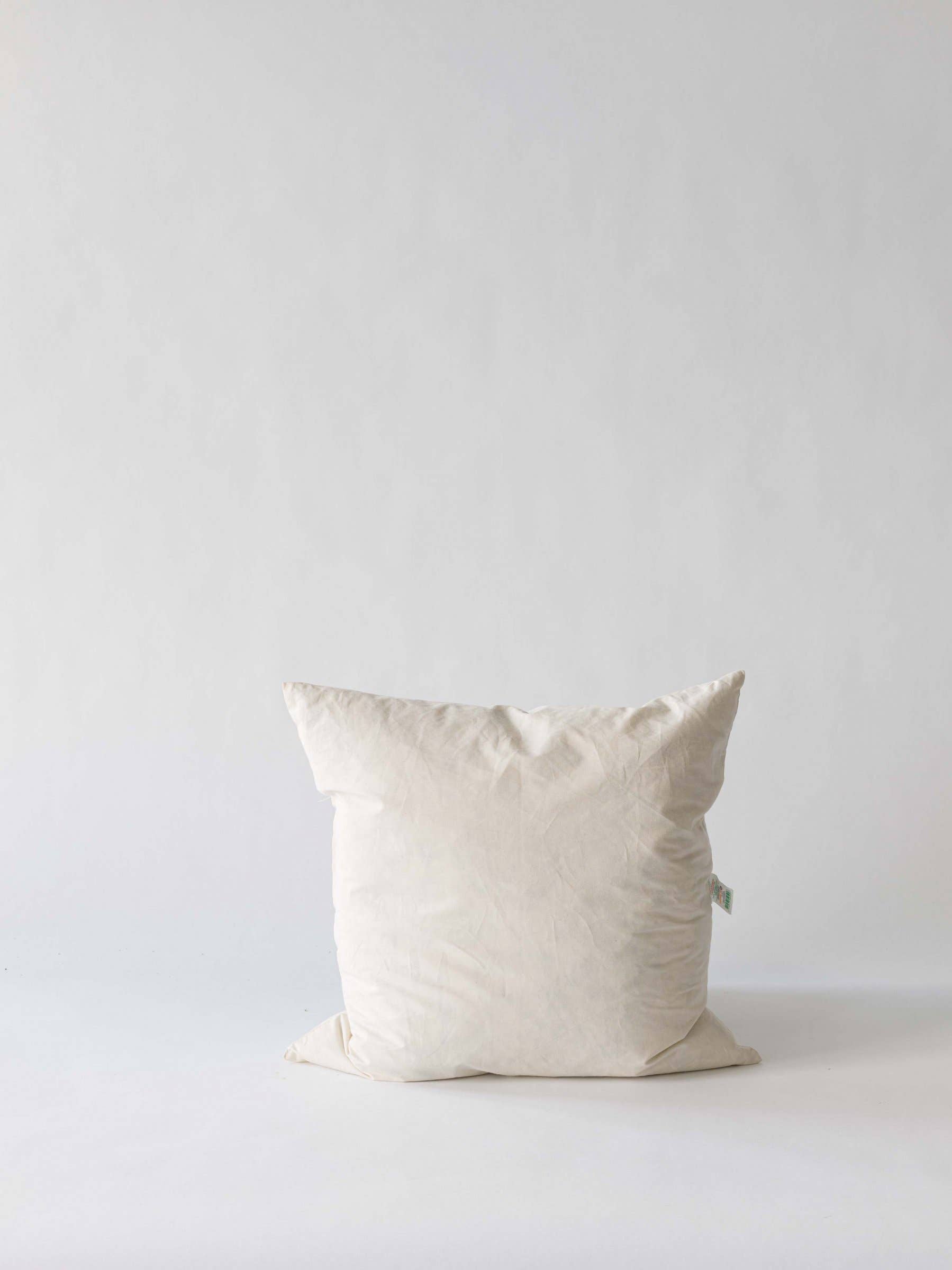 Cushion Insert 50x50