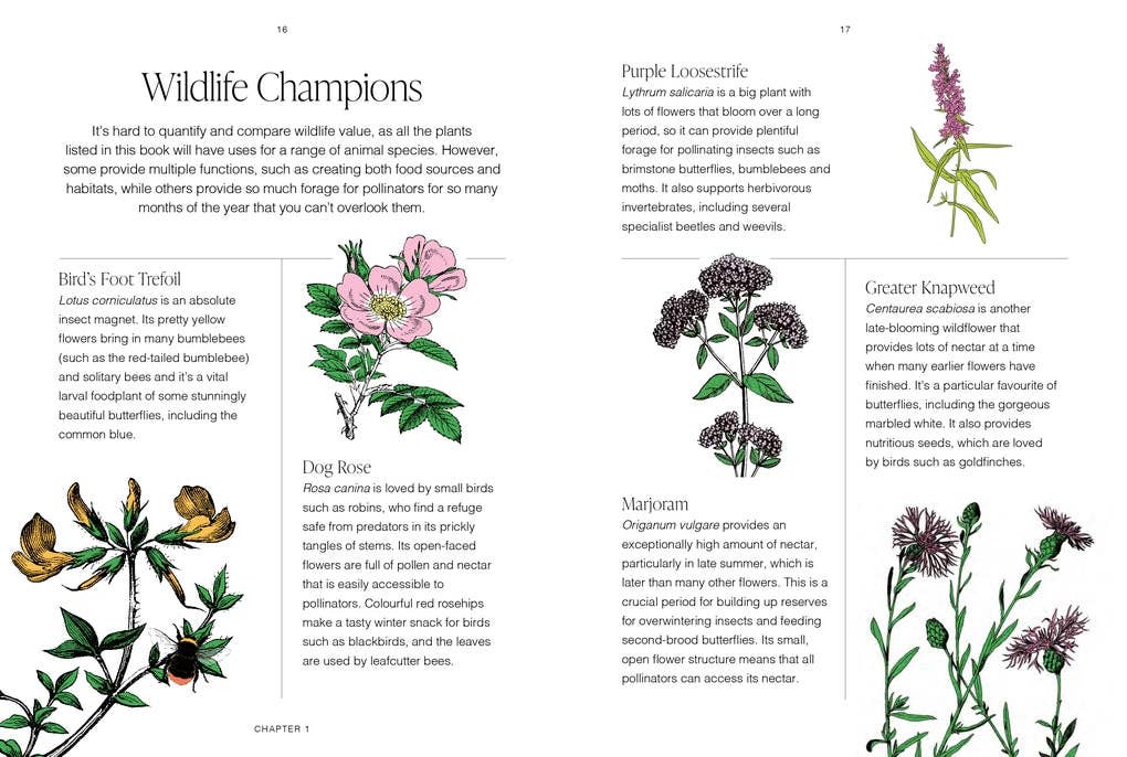 RHS Wildflowers by Gareth Richards (Hardback): Hardback