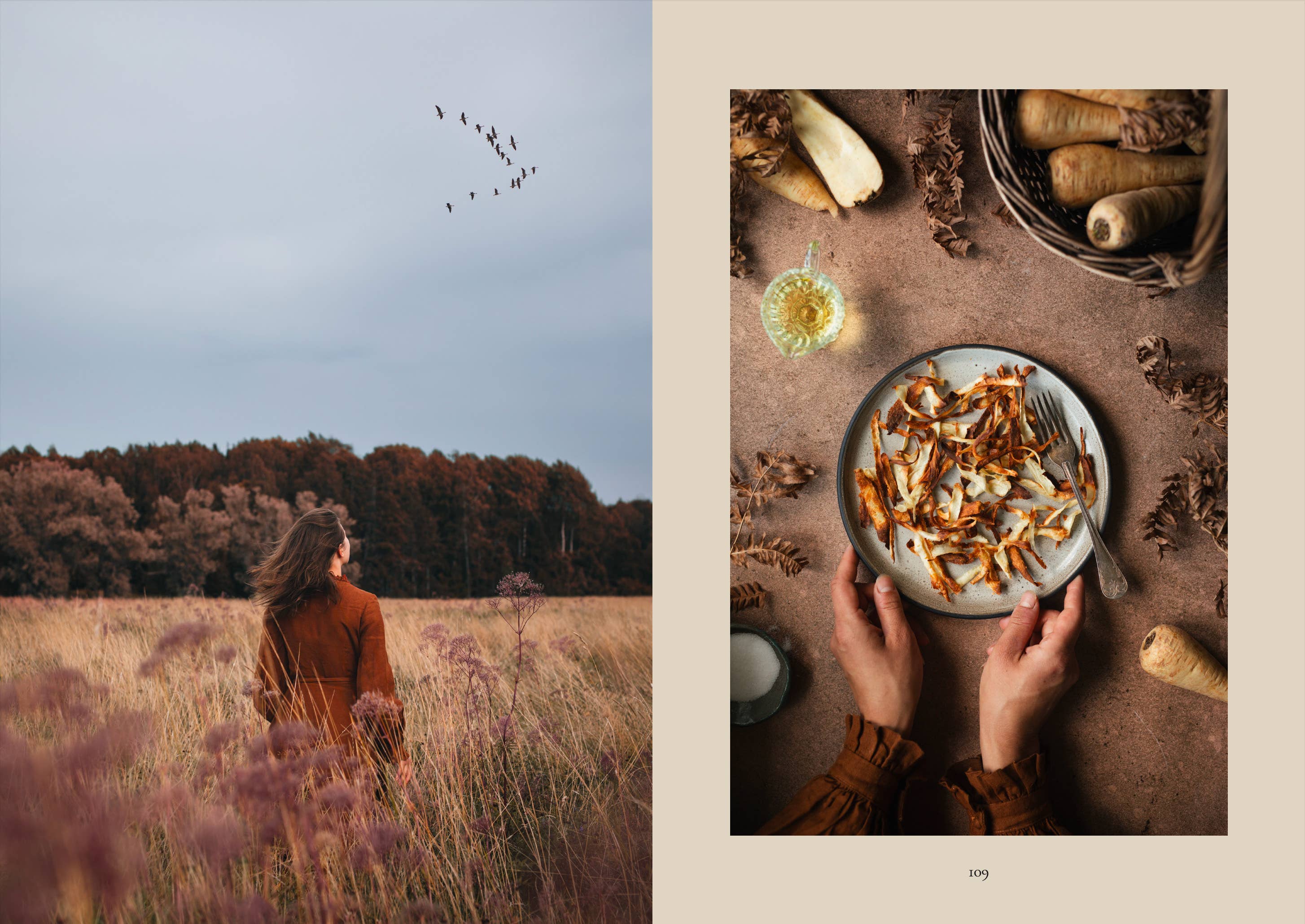 The Art of Fun Dining - Cookbook