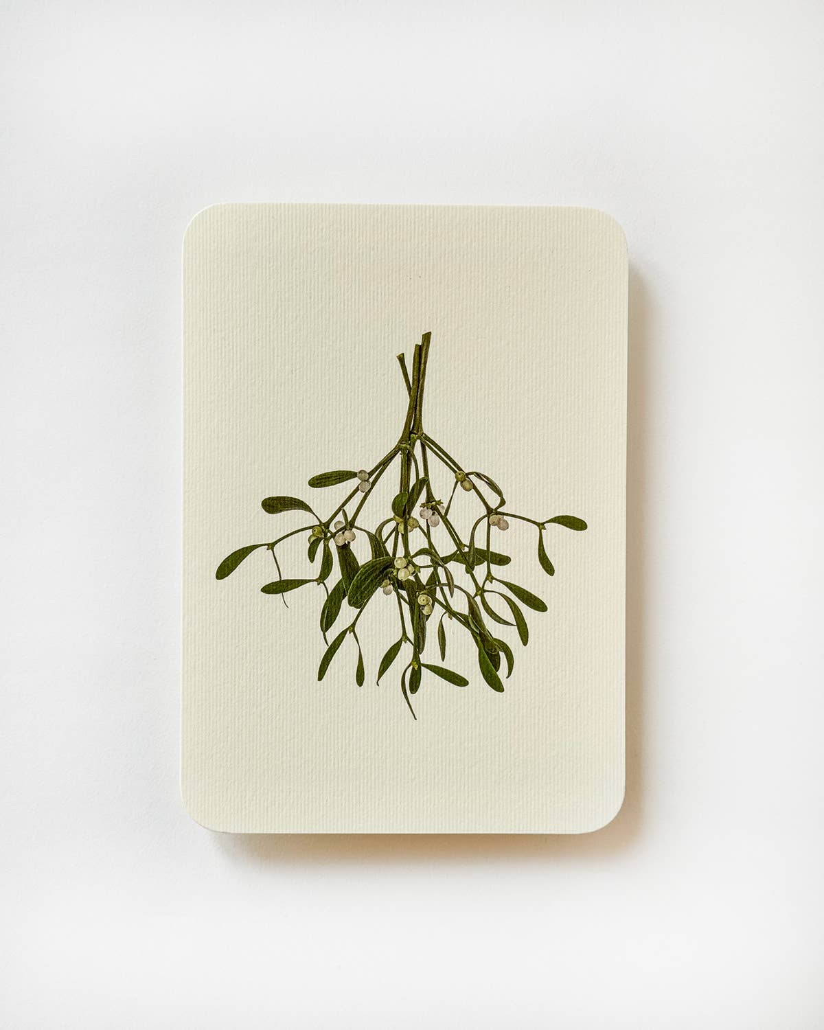 Mistletoe Christmas Greeting Card  by Canonbury Press