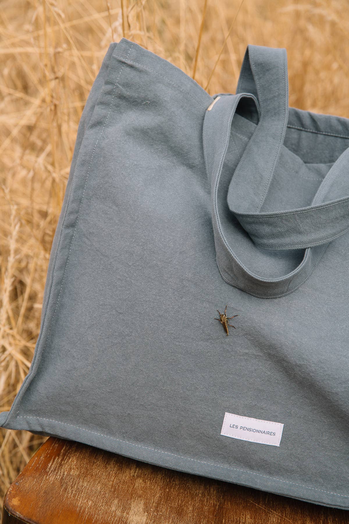 Organic Cotton Canvas Tote Bag in Horizon Blue