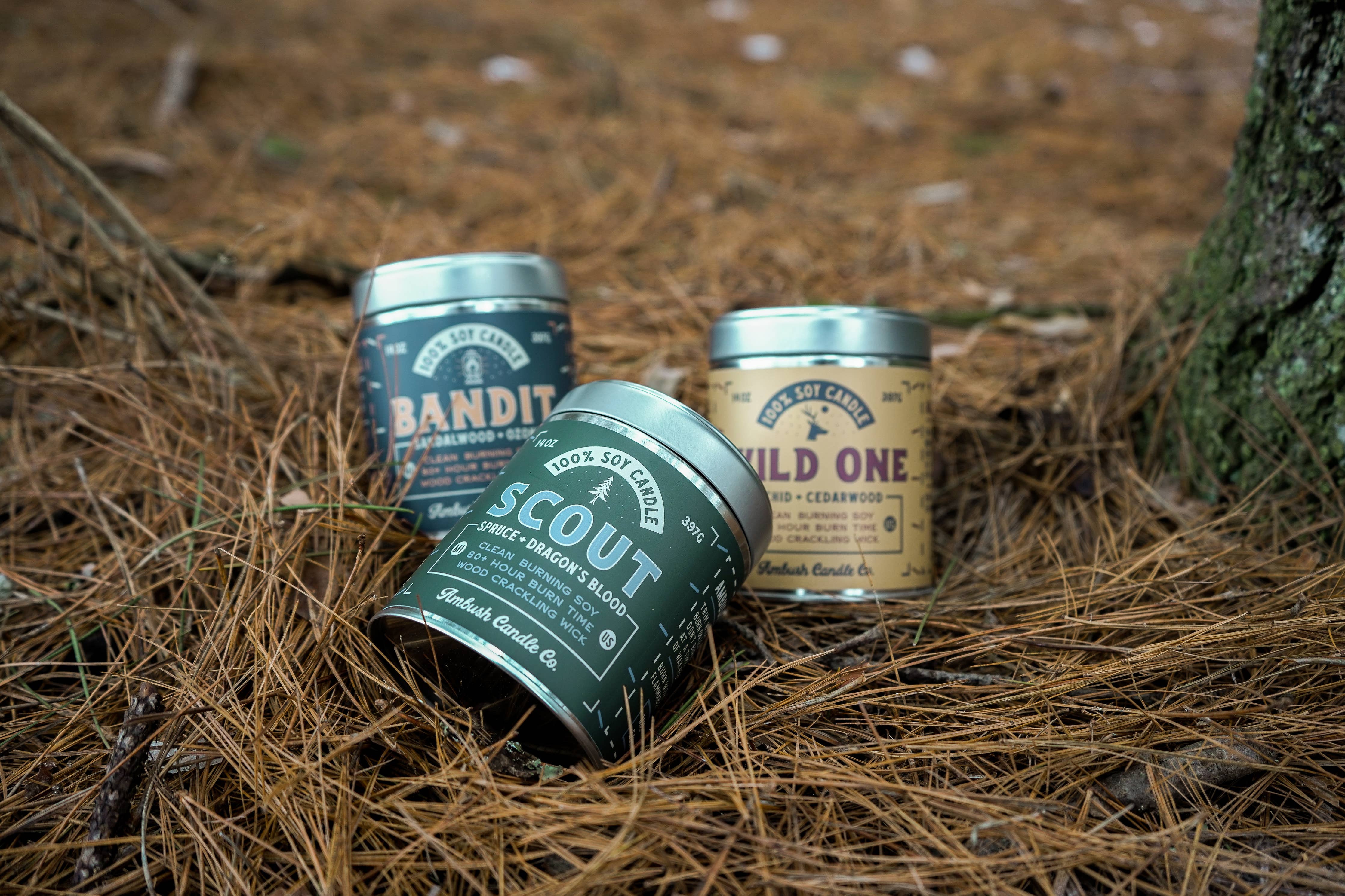 Scout | Spruce + Dragon's Blood 14oz Soy Candle