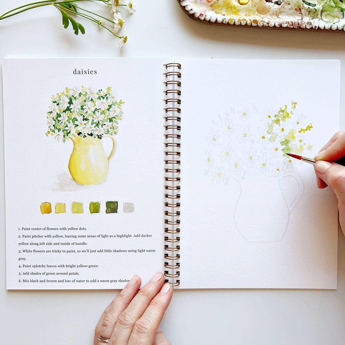 Emily Lex Watercolour Workbook