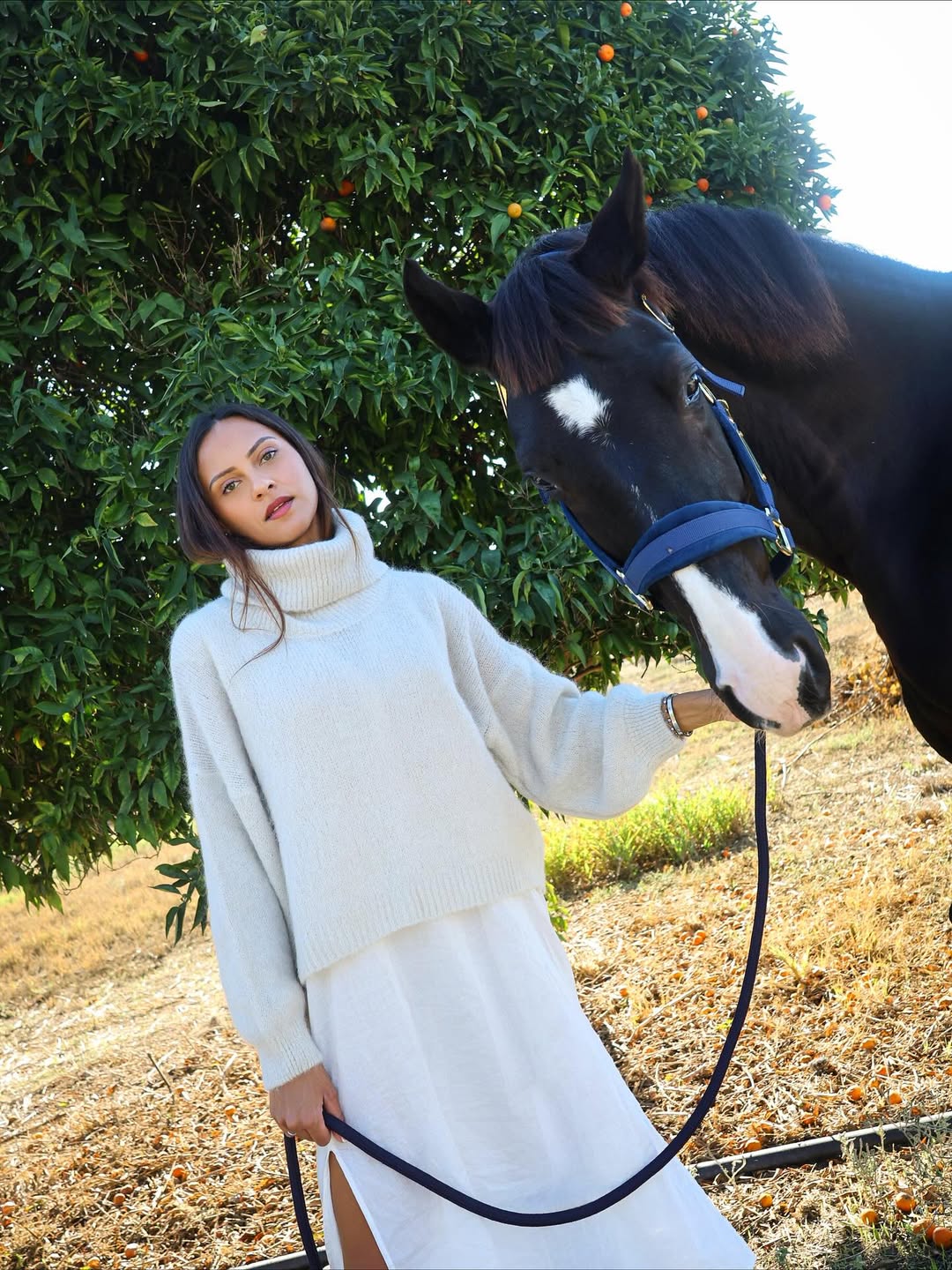 Andrea Rollneck Cropped Alpaca Pullover - American Dreams