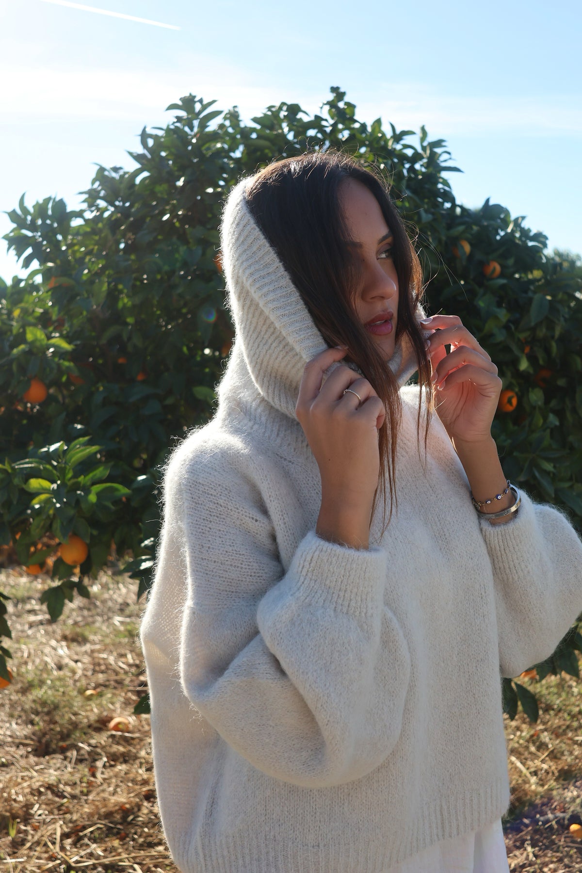 Andrea Rollneck Cropped Alpaca Pullover - American Dreams