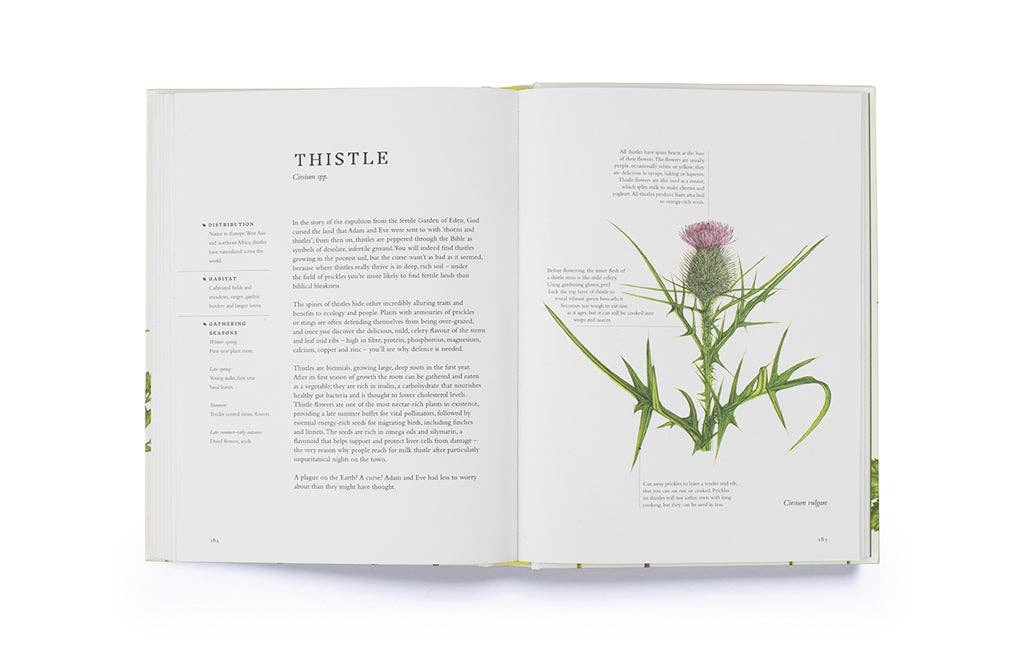 Forage by Liz Knight (Hardback): Hardback