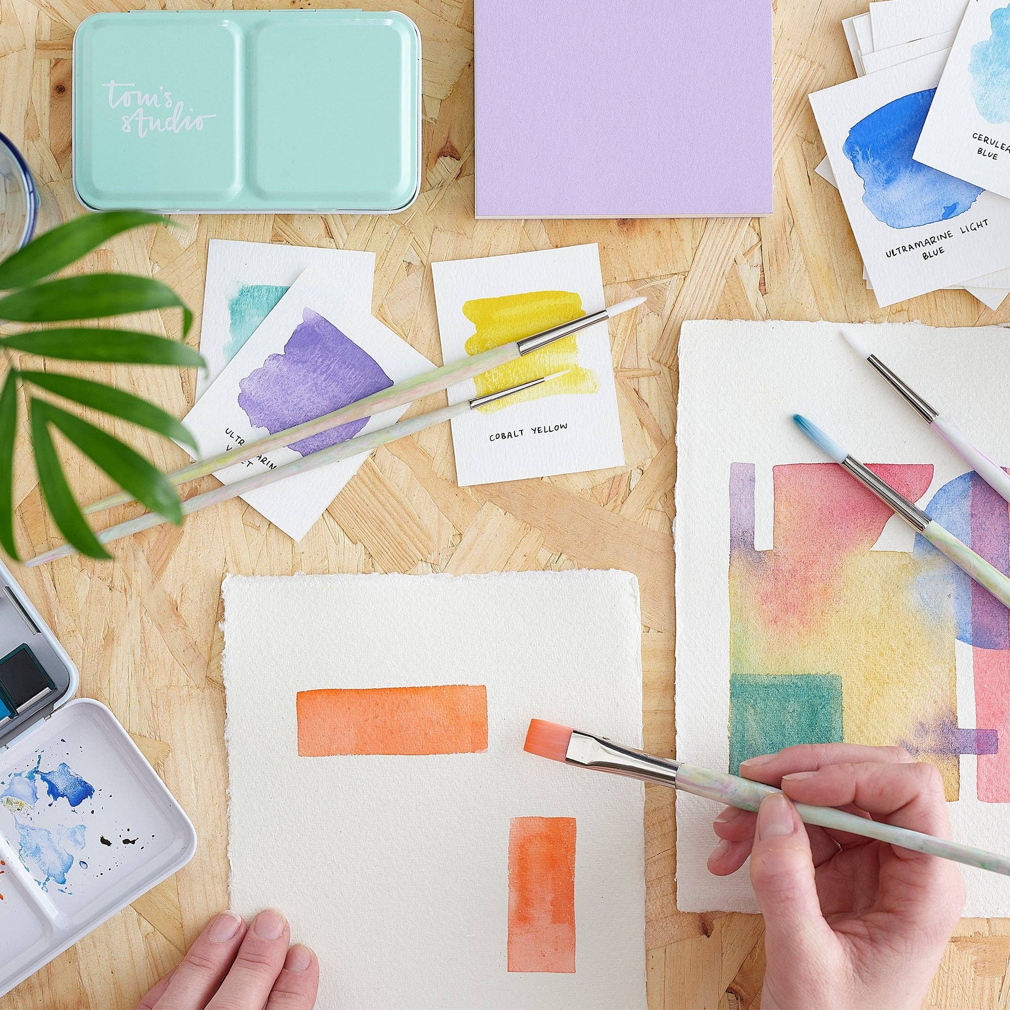 Write Off Paintbrush set: Funfetti