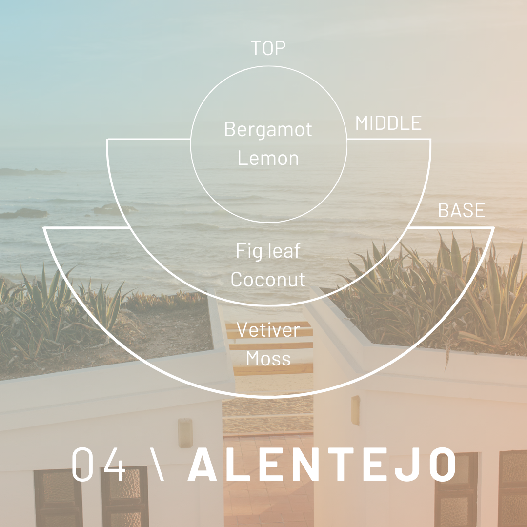 Alentejo Candle: Bergamot, Vetiver Scented Pure Soy Candle
