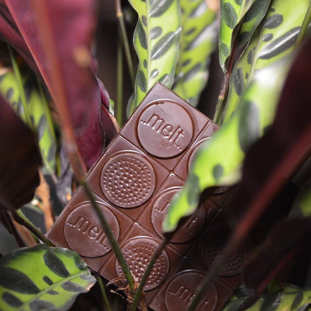 Wild Bolivian Chocolate Bar