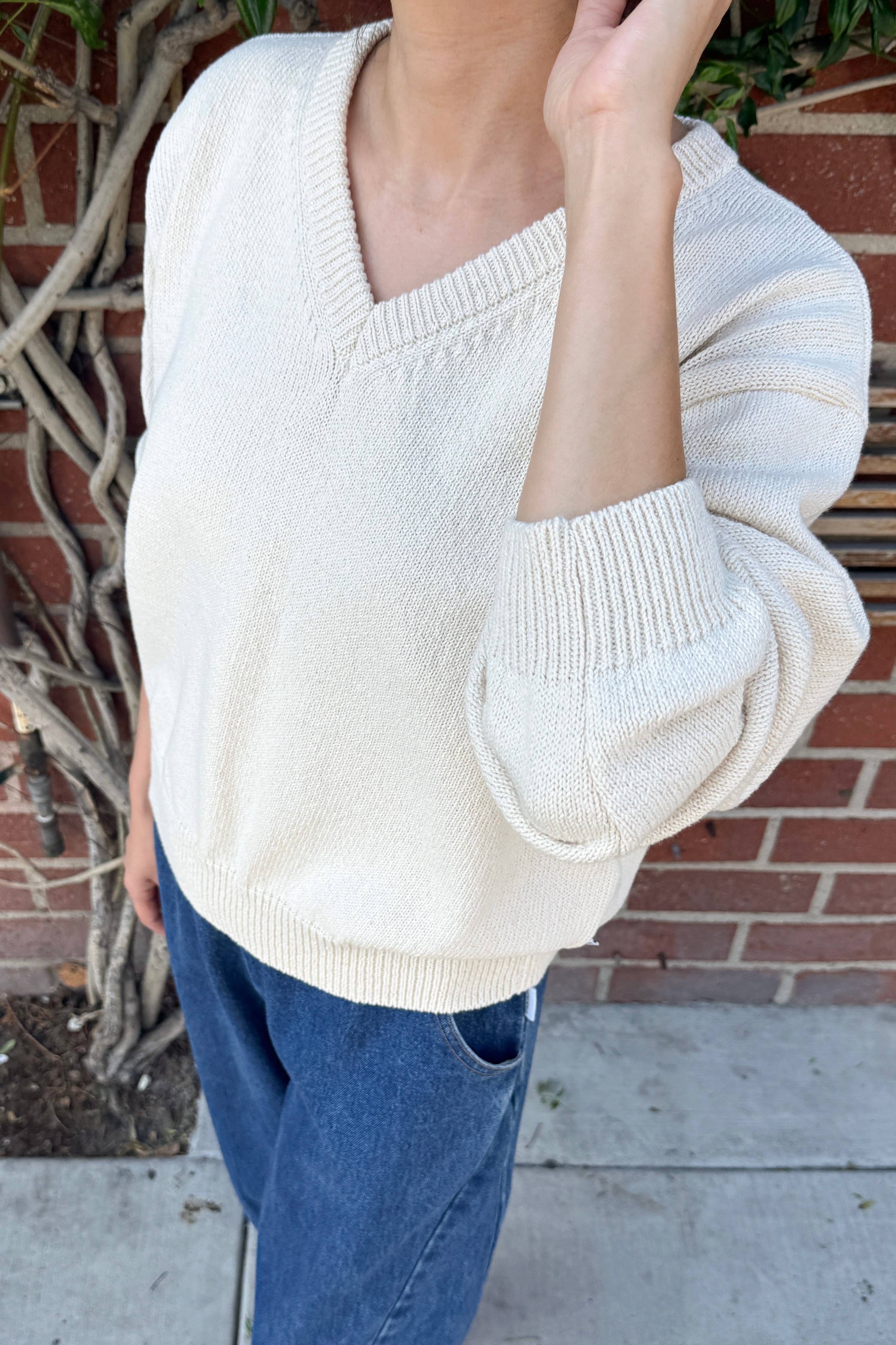Le Bon Shoppe Abby Cotton V-Neck Sweater