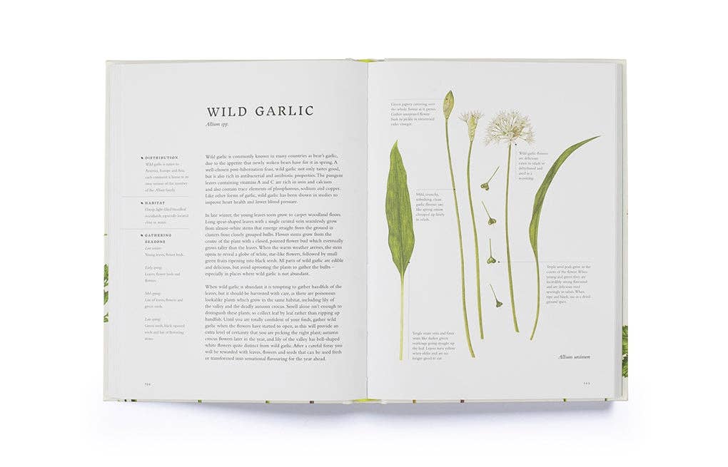 Forage by Liz Knight (Hardback): Hardback