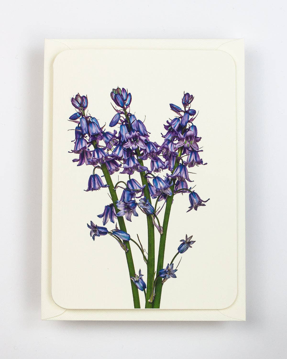 Bluebells Greeting Card | Birthday Card | Luxury Cards