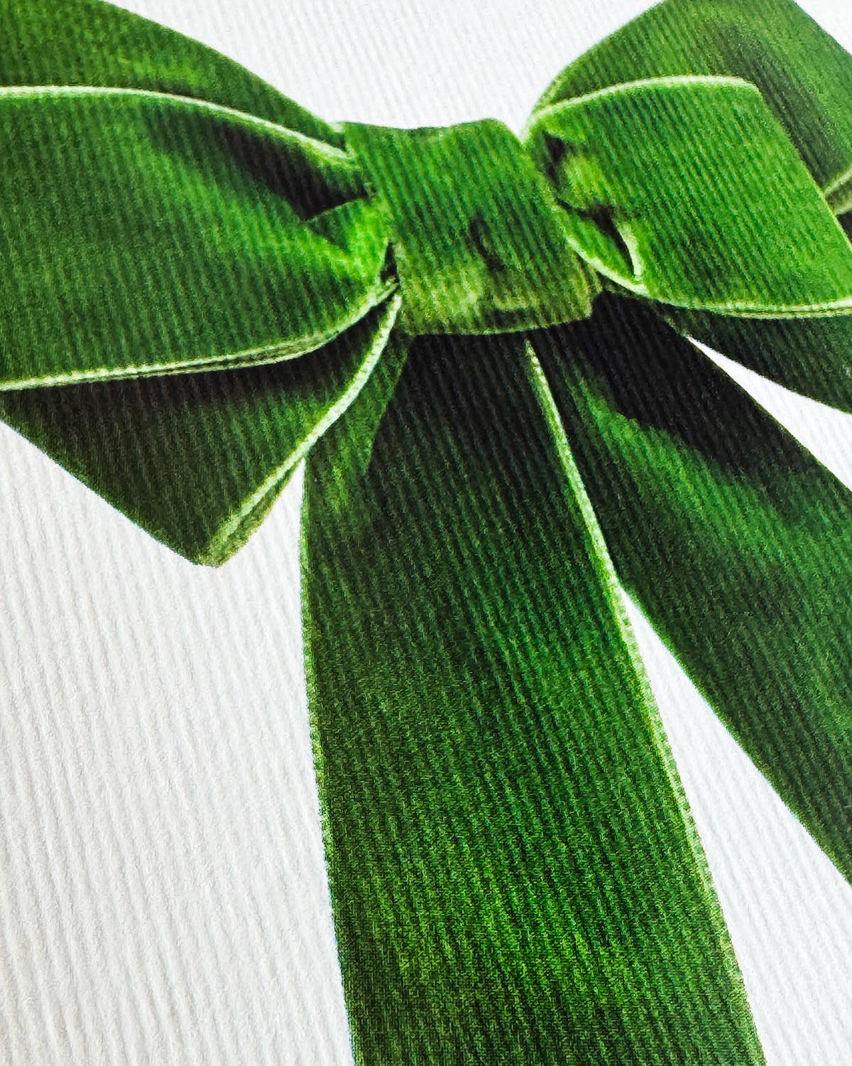 Green Velvet Bow Greeting Card by Canonbury Press