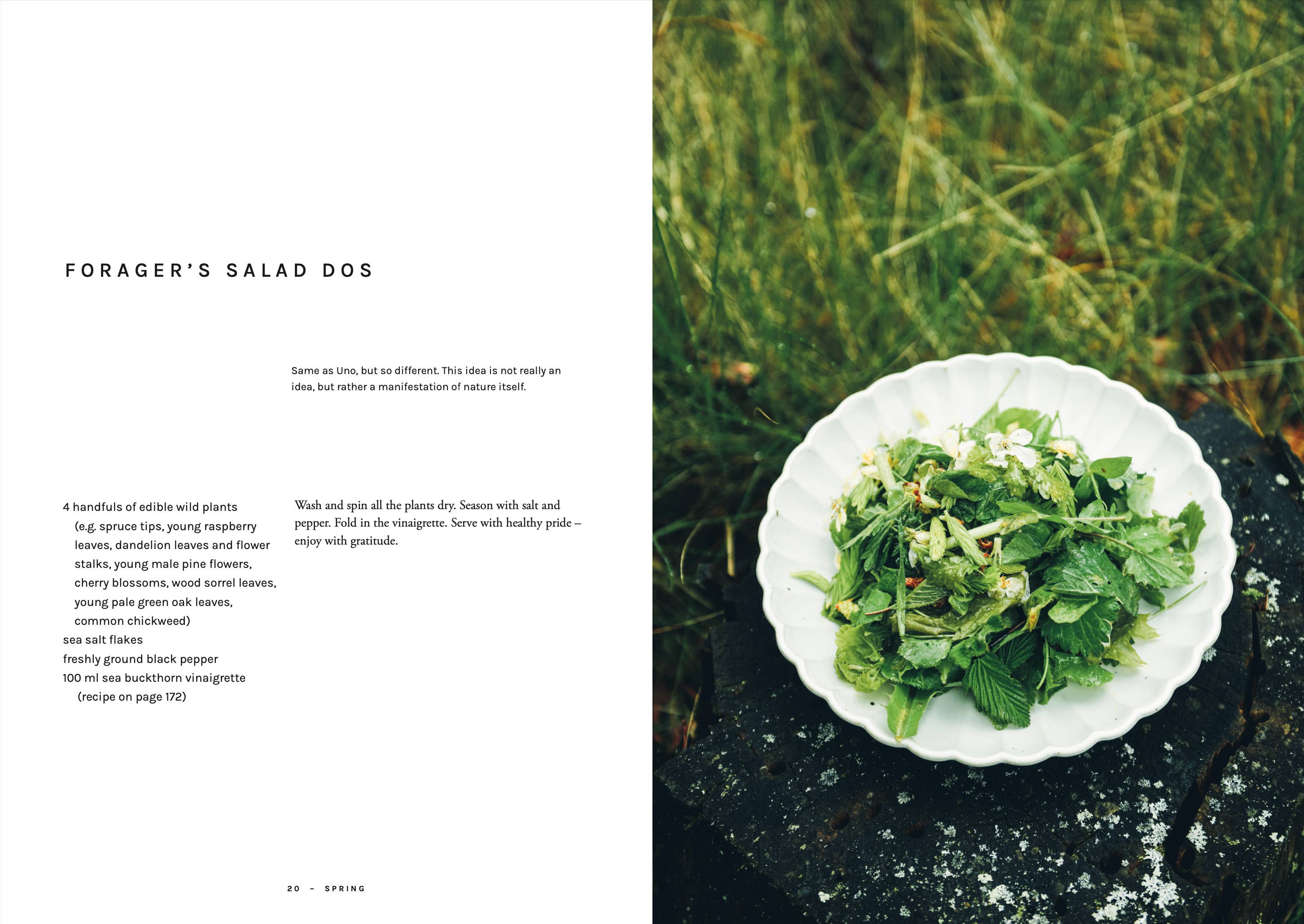 Cookbook: Chef’s Wild Nordic – Recipes for 72 Micro-Seasons