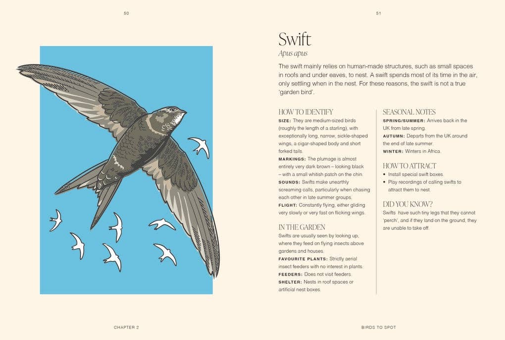 RHS Garden Birds by Mike Weedon (Hardback): Hardback