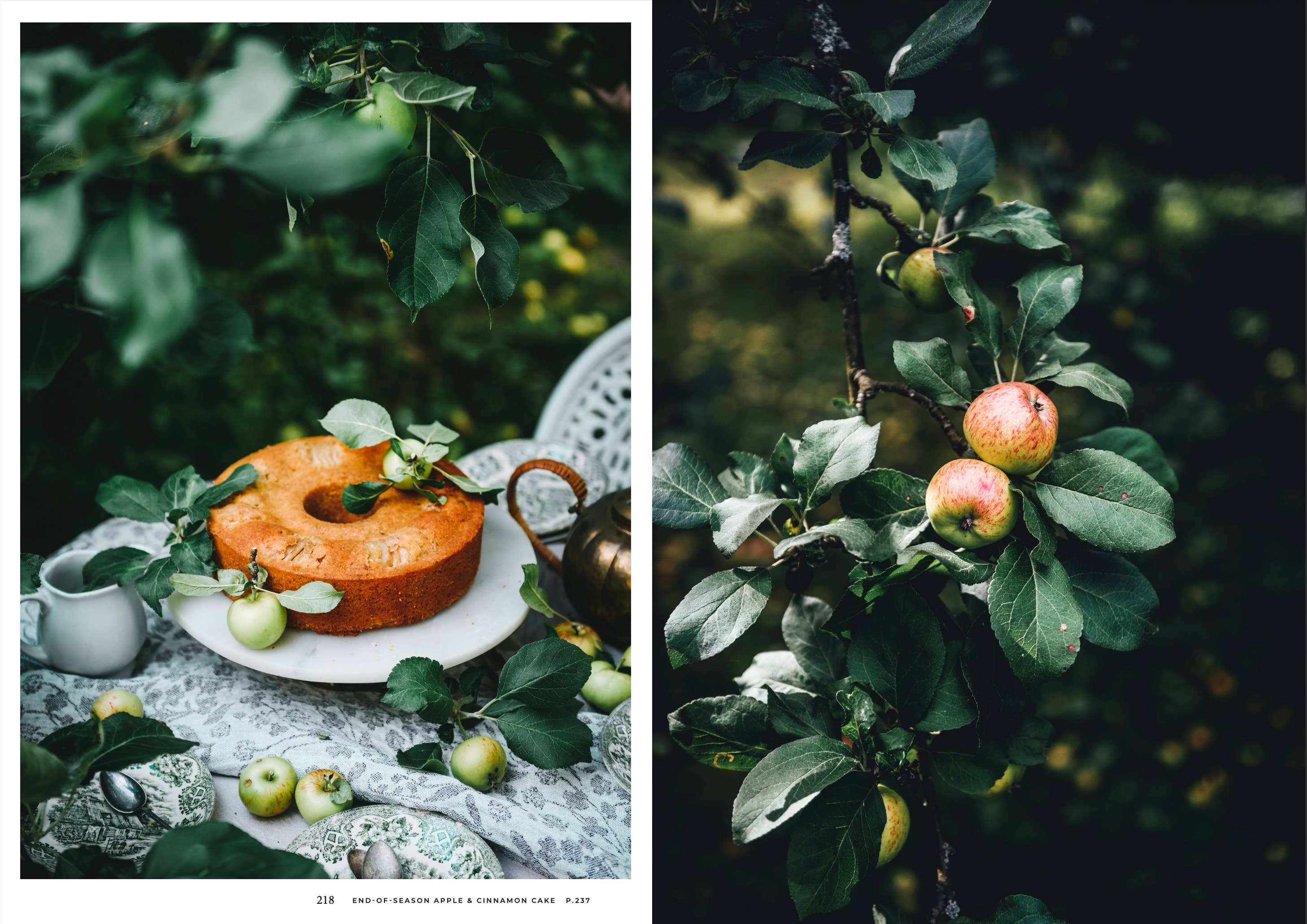Nordic Summer Cookbook