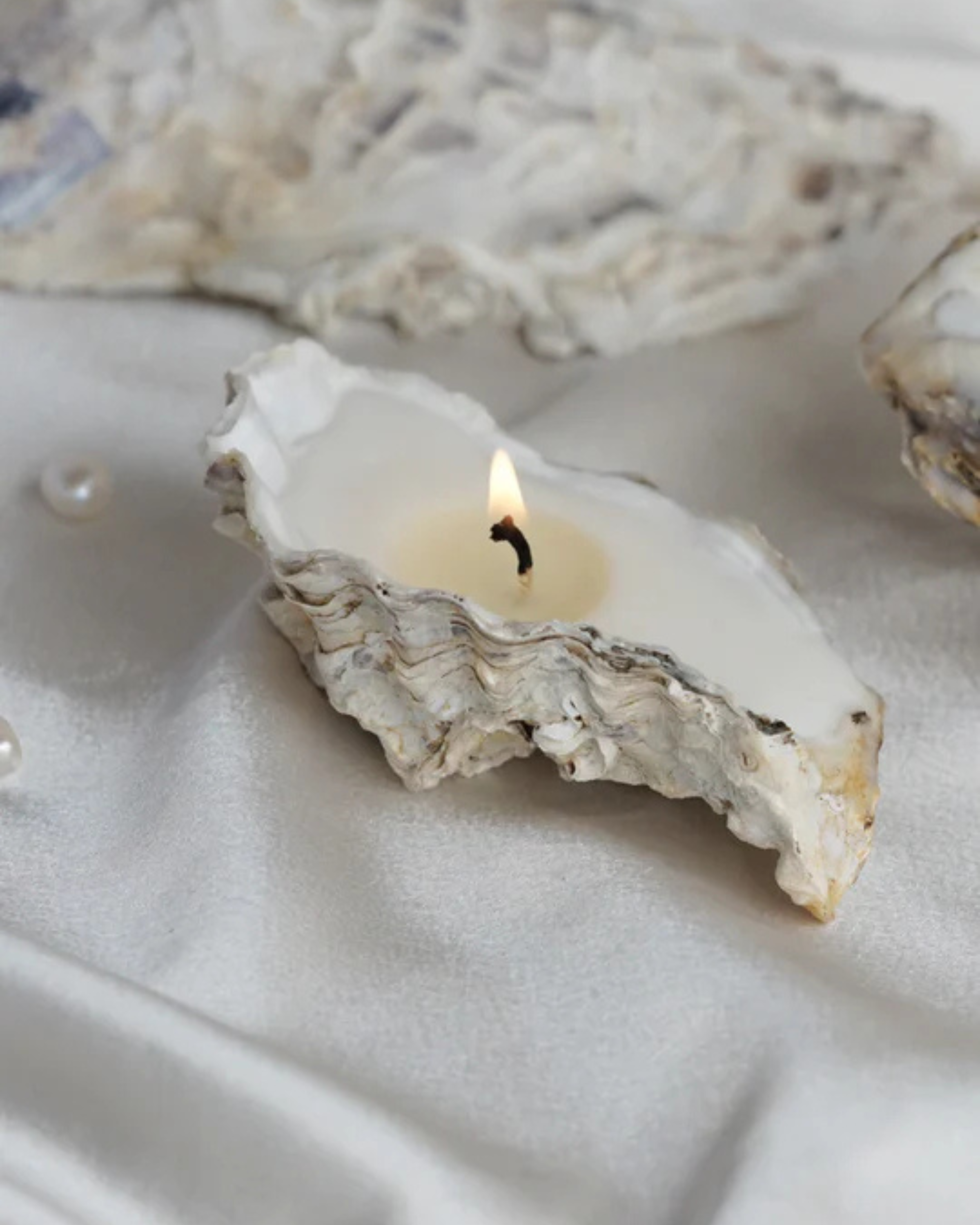 Oyster Shell Candle - 1 Wick: 3 pcs