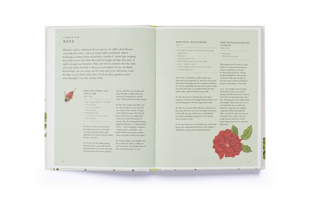 Forage by Liz Knight (Hardback): Hardback