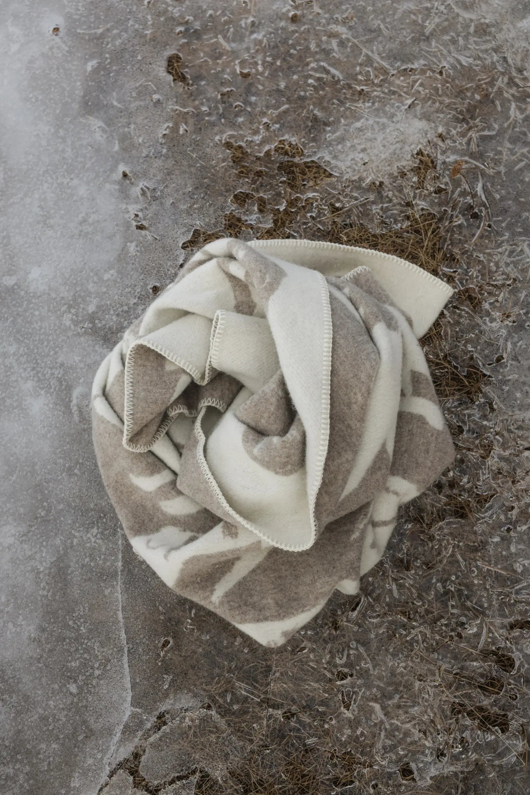 Koirapuisto Wool Blanket — Beige-White