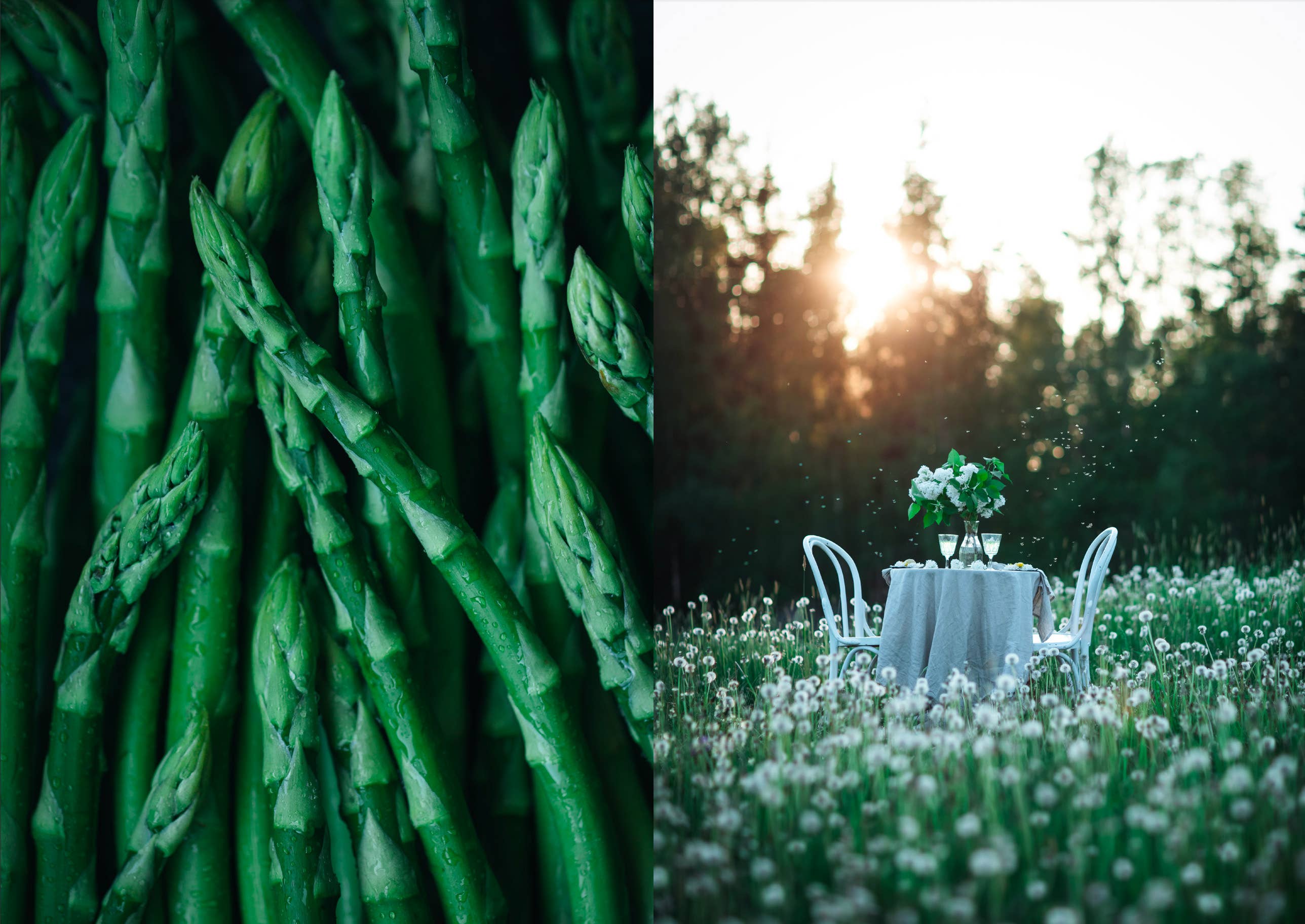 The Art of Fun Dining - Cookbook